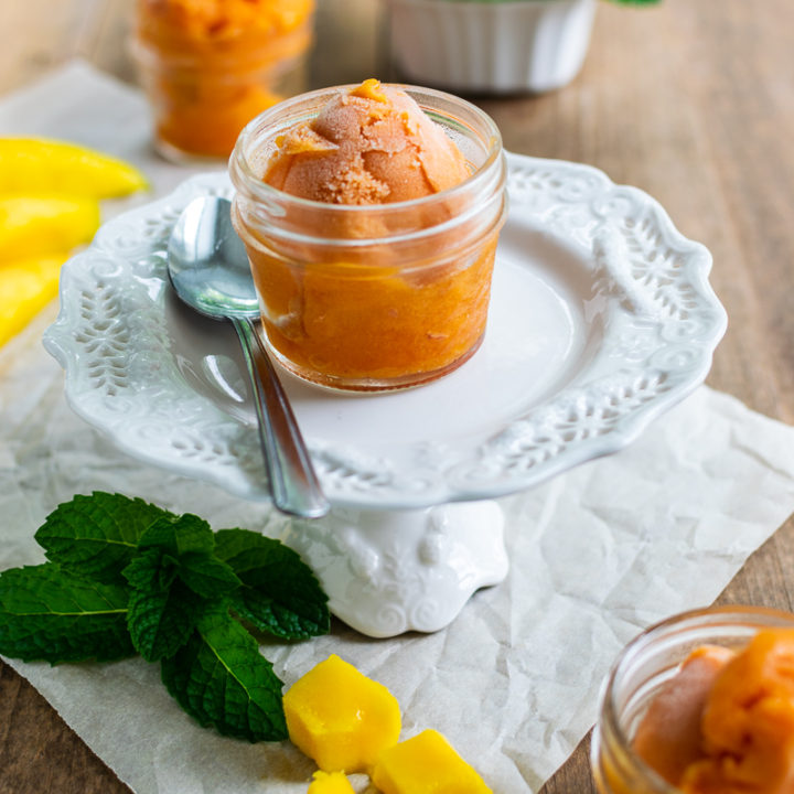 easy sorbet recipe