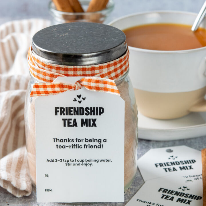 Friendship Tea (Spiced Tea Mix with Tang)
