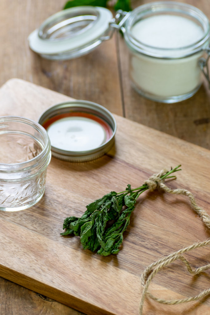 dried mint sprigs