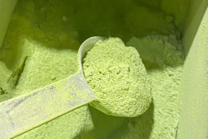 A barista scooping Starbucks matcha powder.