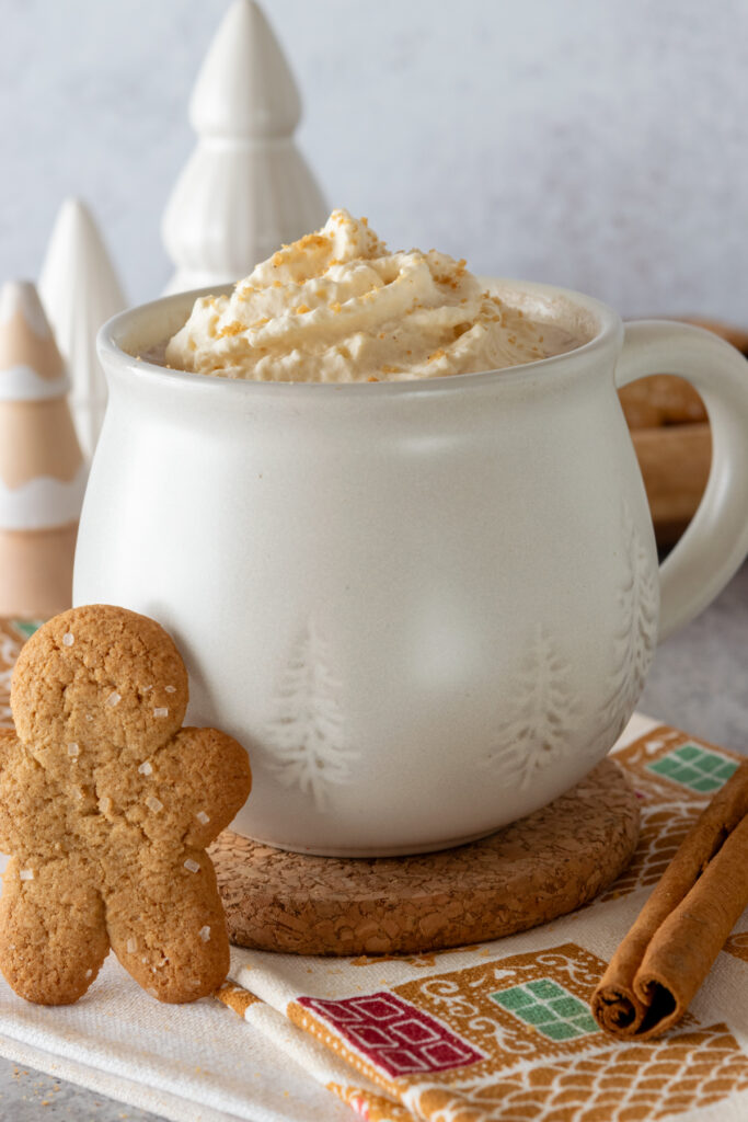 Close up picture of gingerbread hot chocolate in a winter mug, with gingerbread whipped cream and crushed cookies on top.