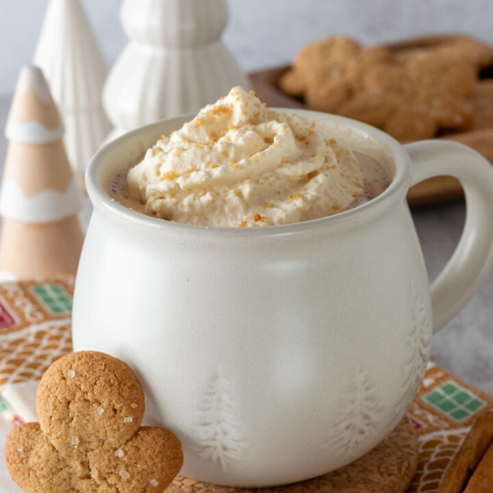 Gingerbread hot chocolate in a winter mug with gingerbread cookies next to it.